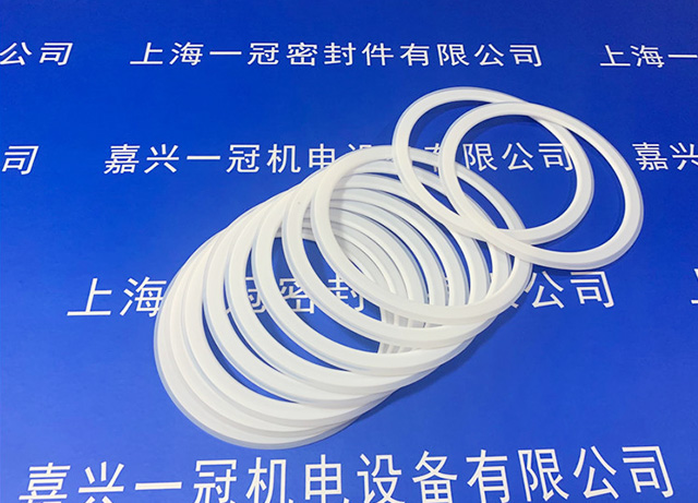 快速接头密封圈 